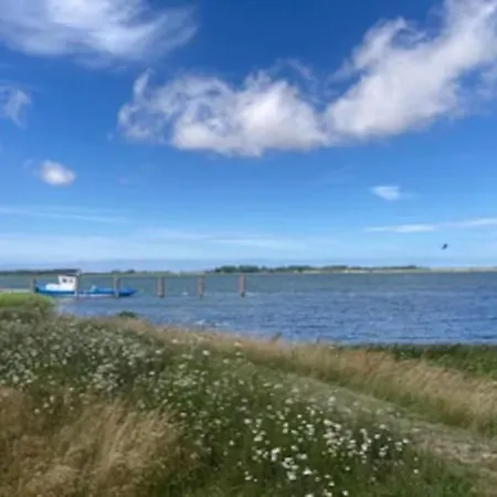 Holiday home Lotsenhaus Am Breetzer Bodden *