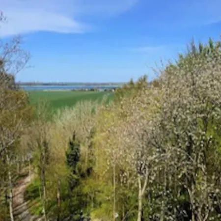Lotsenhaus Am Breetzer Bodden Holiday home Vieregge